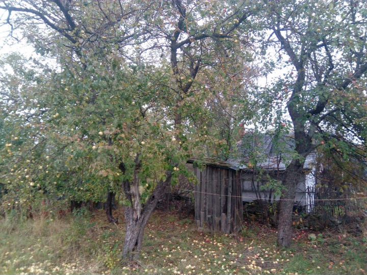 Участок 20 сот. (ИЖС)