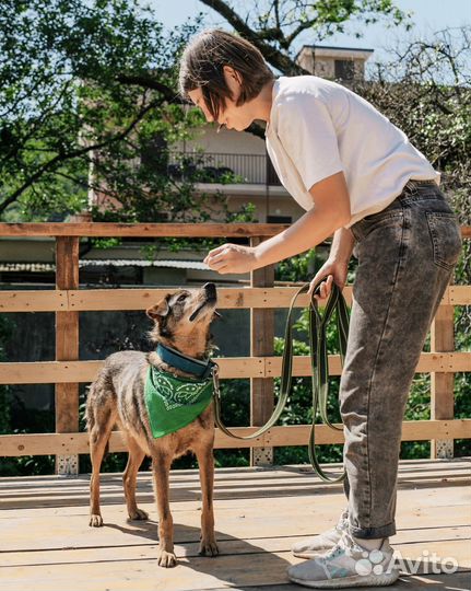 Томас хочет в семью