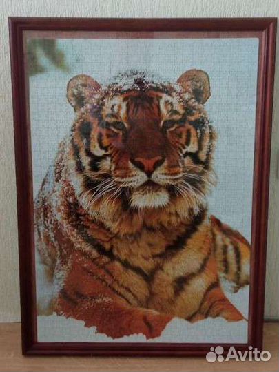 Пазл Тигр в раме со стеклом