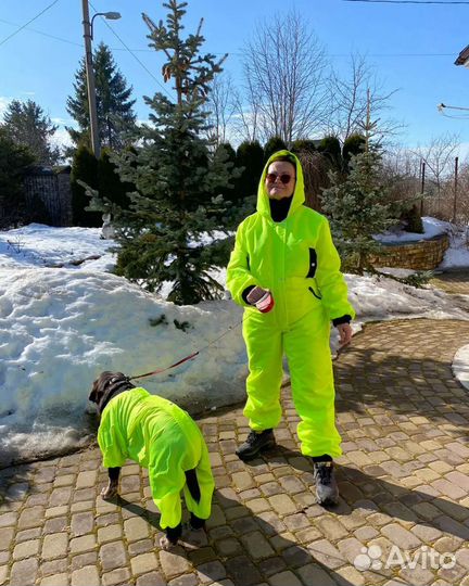 Дождевик для собак