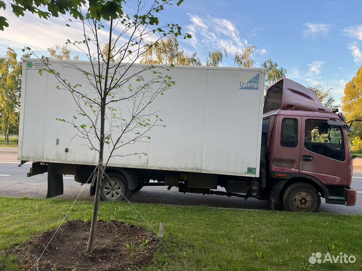 Foton Auman BJ10xx, 2013