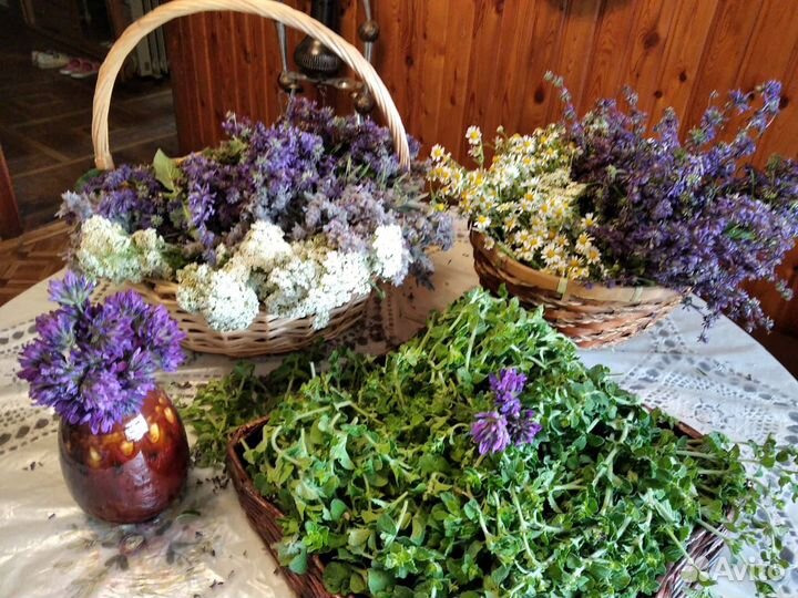 Целебные травы Крыма, корни, сборы, чаи и др