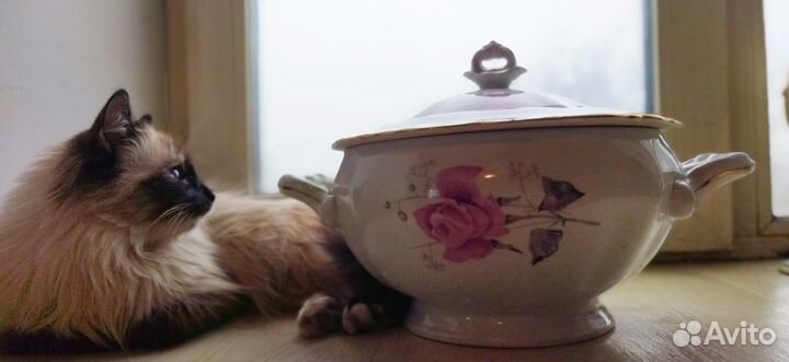 Большой столовый набор, пр-ва Польши времен СССР