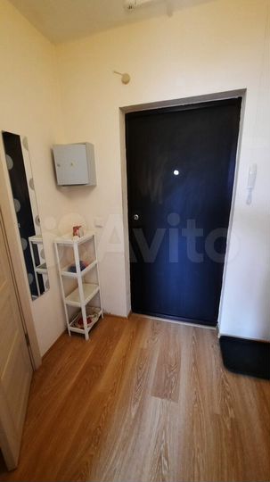 Квартира-студия, 25,1 м², 17/17 эт.