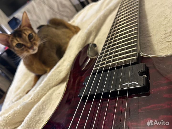 Электрогитара schecter hellraiser C-7 (7 струн)