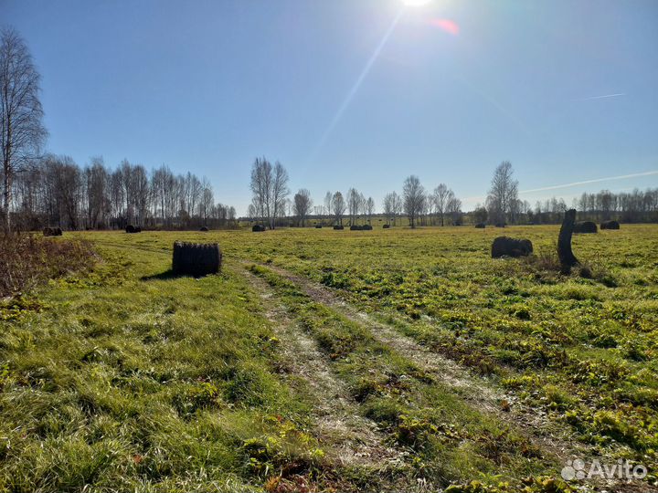 Продам сено в рулонах