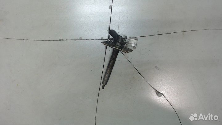 Форсунка топливная Skoda Octavia (A5), 2011