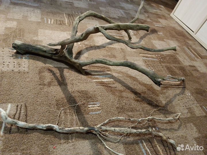 Аквариумные рыбки