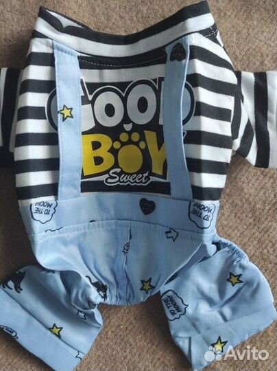 Комбинезон для маленькой собаки