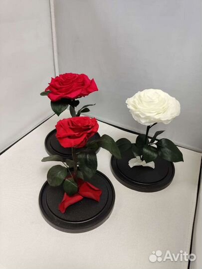Роза в колбе оптом и в розницу