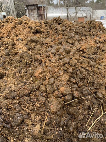 Конский навоз