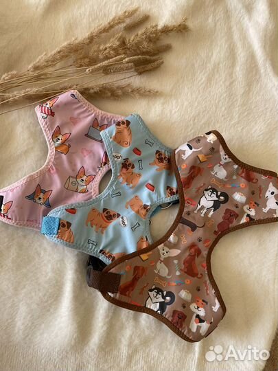 Одежда для собак