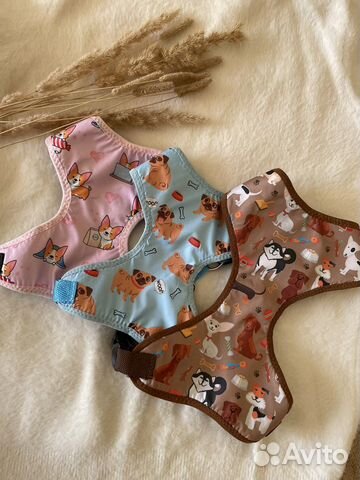 Одежда для собак