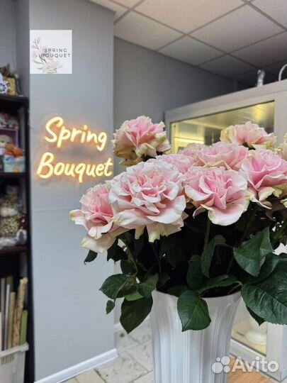 Розы Эквадор кустовые эвкалипт