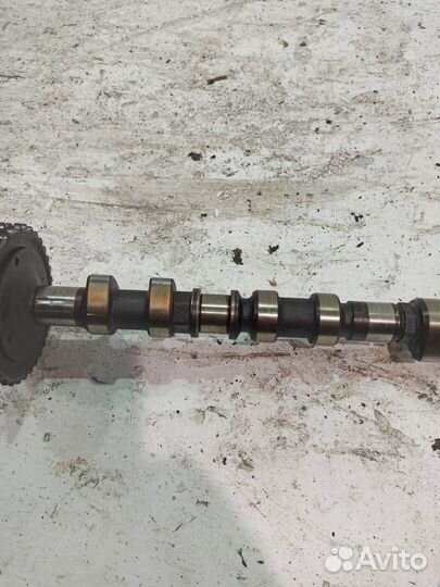 Распредвал выпускной Mercedes W140 S