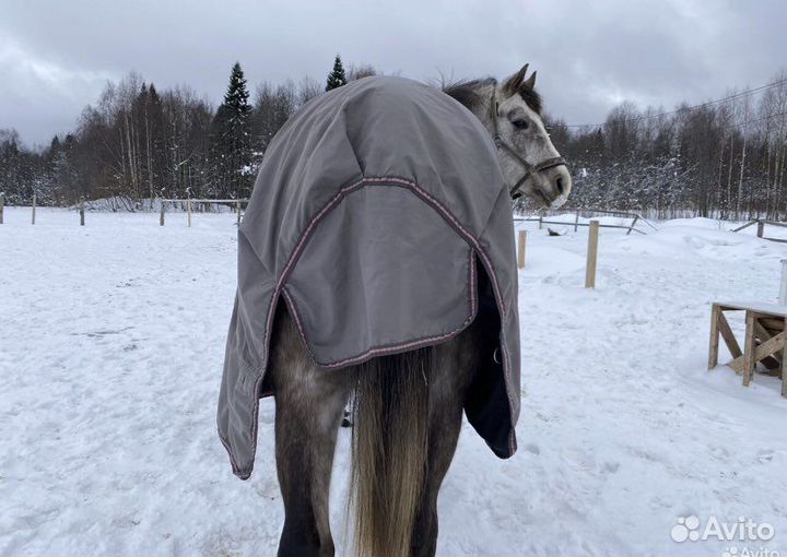 Дождевая попона Loesdau