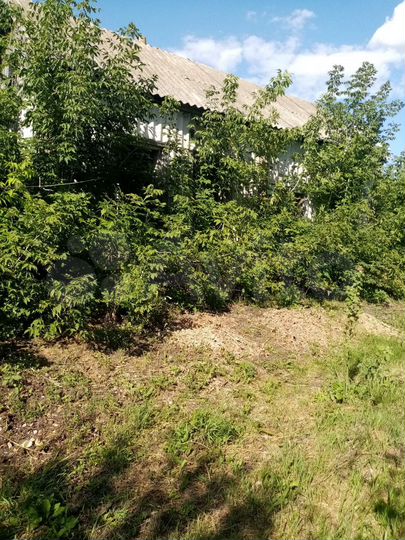 Дом 20 м² на участке 14,5 сот.