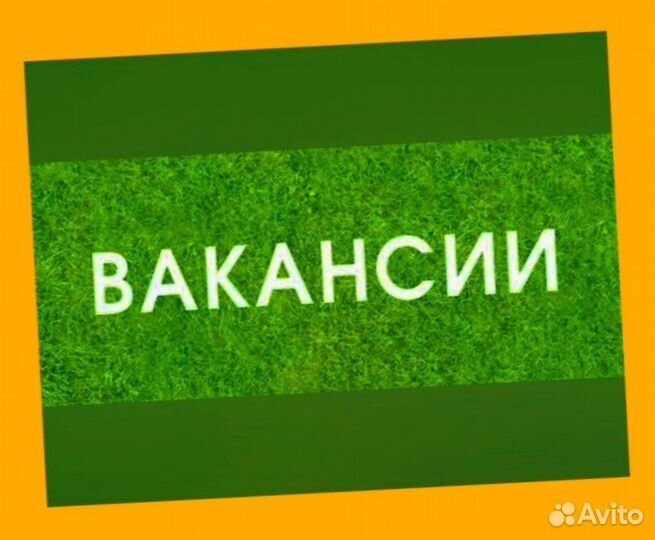 Продавец готовой продукции Выплаты гарантируем М/Ж