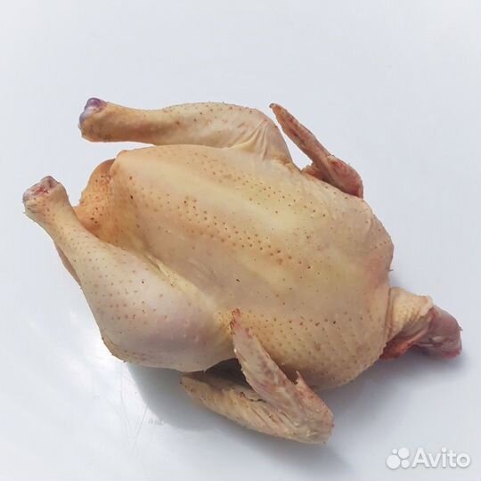 Мясо курицы