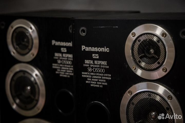 Акустическая система Panasonic/Technics SB-D5500