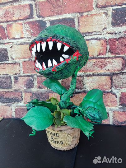 Цветок монстр
