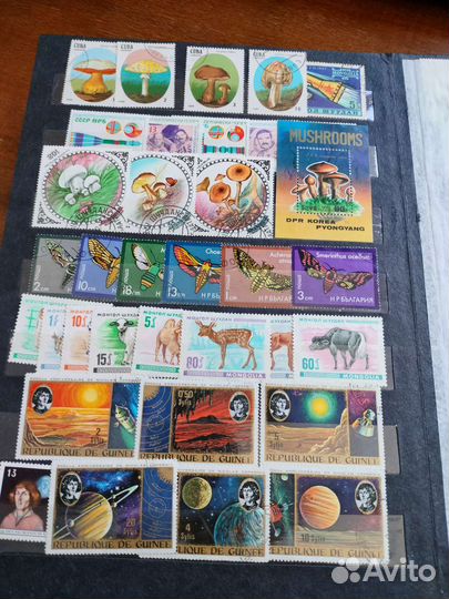 Марки фауна, флора