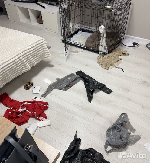 Аренда Сибы