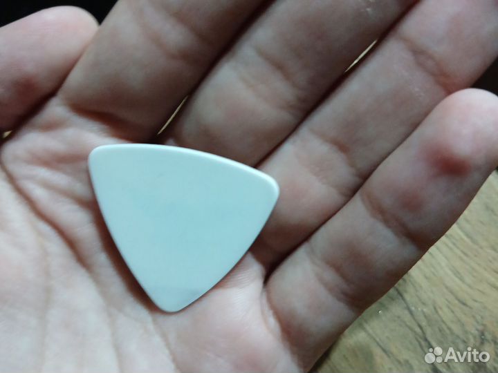 Медиатор с концерта Северный флот