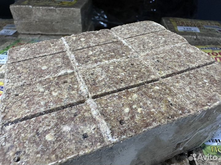 Жмых для рыбалки 