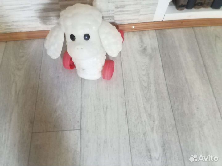 Белый пудель-каталка