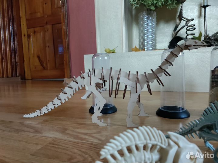 Скелет животного