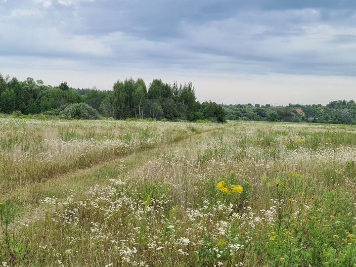 Участок 10 сот. (ИЖС)