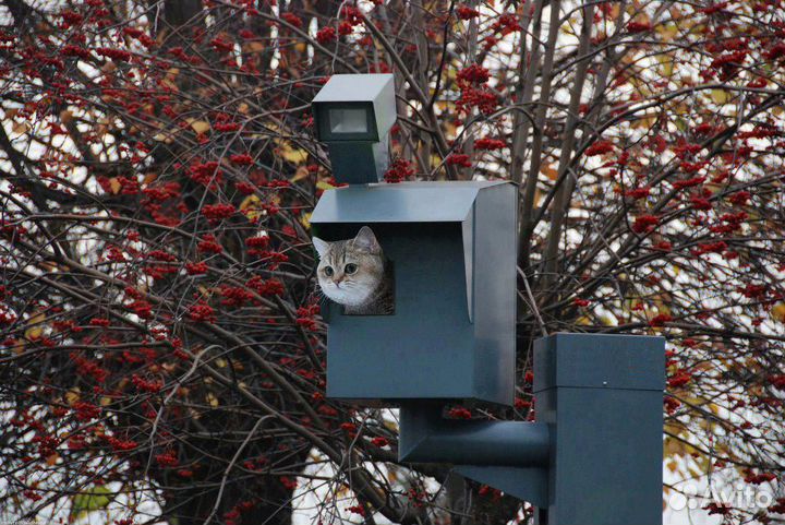Монтаж видеонаблюдения, скс, скуд