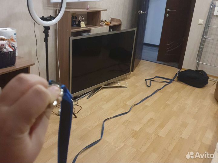 Поводок для собак 3-4 метра