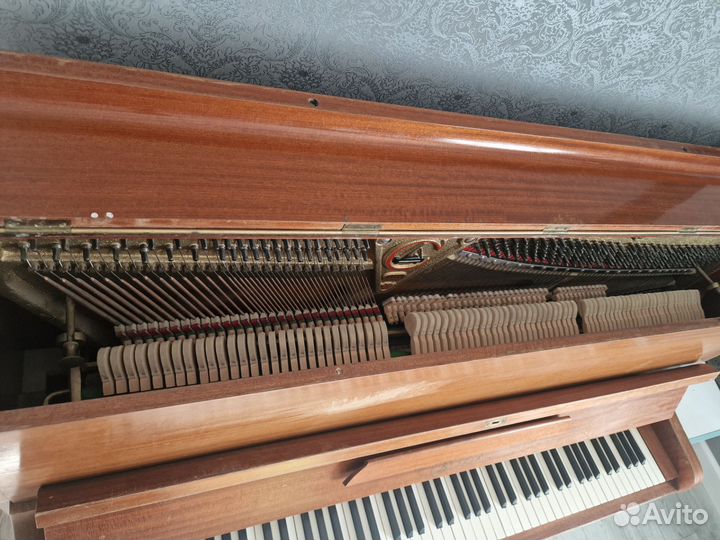 Пианино Galisia