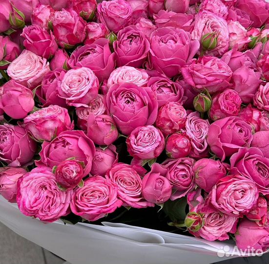 101 роза 51 Розы Букет из роз