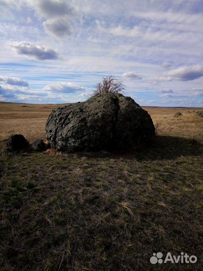 Тур в Весенний Аркаим