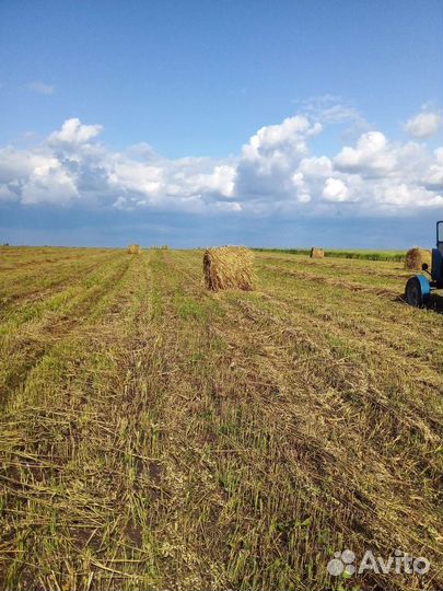 Сено Вика овёс