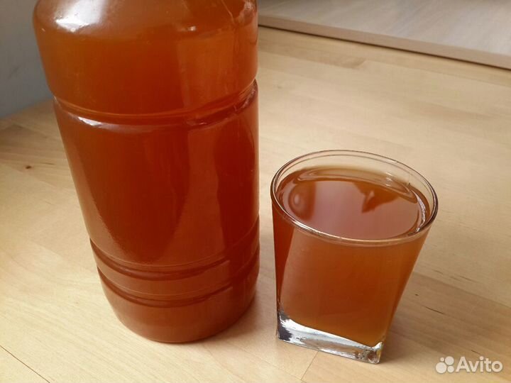 Квас медовый+ Квасная гуща Закваска 8лет Кеф. гриб