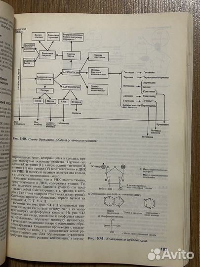 Биология Грин Стаут Тейлор