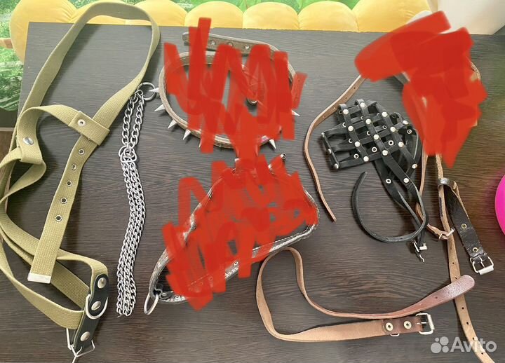 Ошейник для собак