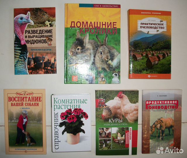 Сад.Огород.Грибы.Индюки.Кролики.Куры.Пчелы.Лошади