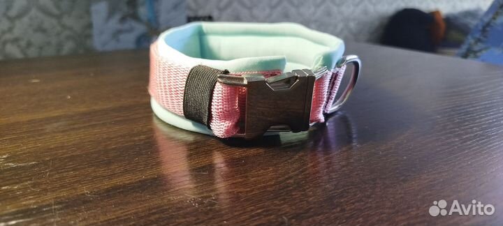 Амуниция для собак