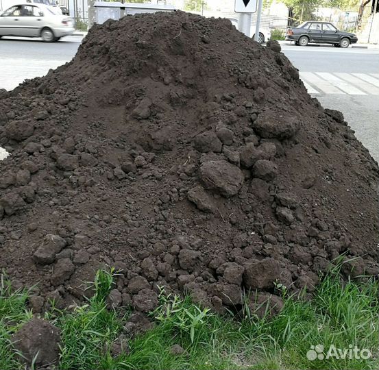 Чернозем