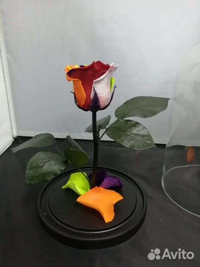 Роза в колбе оптом