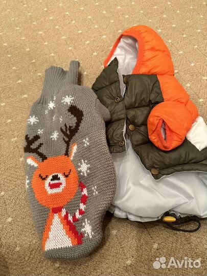 Одежда для маленьких собак xs