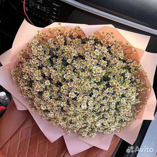 Ромашки Букет из ромашек доставка