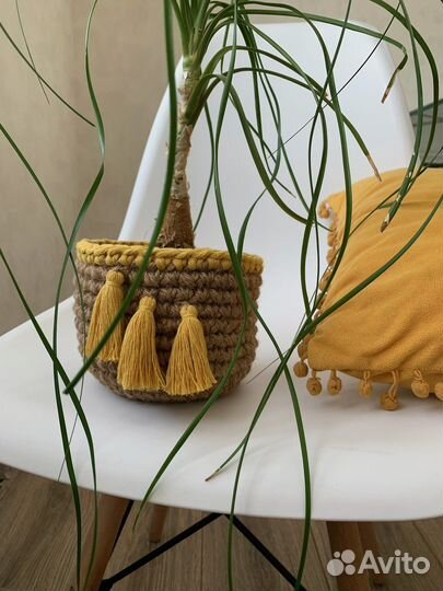 Кашпо горшок для цветов