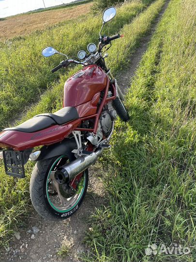 Придам suzuki bandit 250