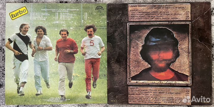 Демократы винил